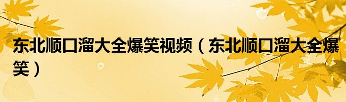 东北顺口溜大全爆笑视频（东北顺口溜大全爆笑）