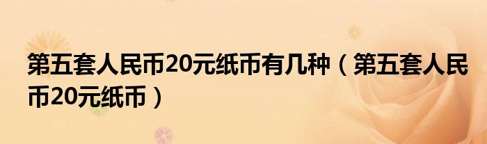 第五套人民币20元纸币有几种（第五套人民币20元纸币）