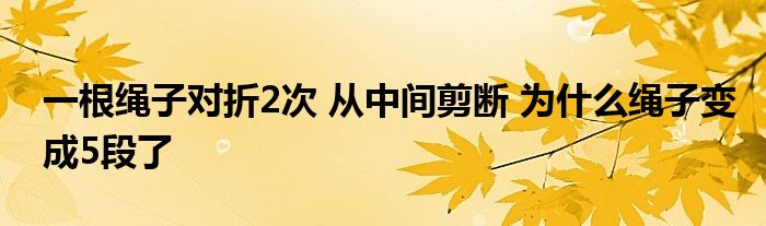 一根绳子对折2次 从中间剪断 为什么绳子变成5段了