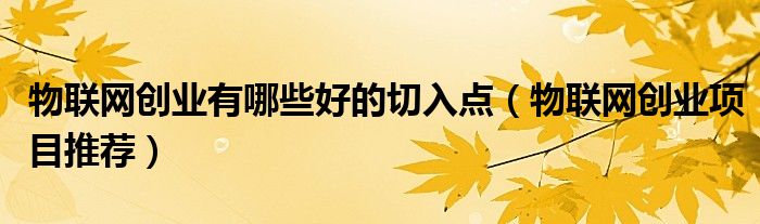 物联网创业有哪些好的切入点（物联网创业项目推荐）