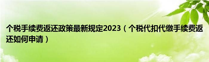 个税手续费返还政策最新规定2023（个税代扣代缴手续费返还如何申请）