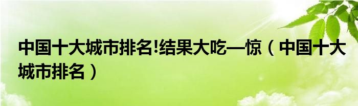 中国十大城市排名!结果大吃—惊（中国十大城市排名）