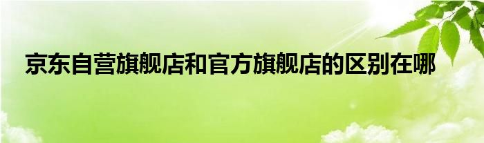 京东自营旗舰店和官方旗舰店的区别在哪