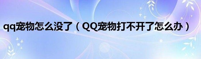 qq宠物怎么没了（QQ宠物打不开了怎么办）