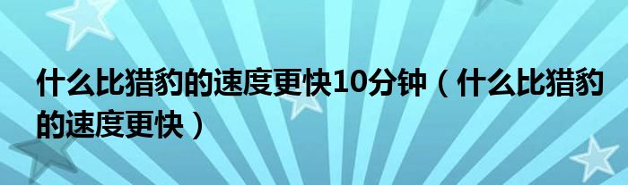 什么比猎豹的速度更快10分钟（什么比猎豹的速度更快）