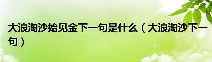 大浪淘沙始见金下一句是什么（大浪淘沙下一句）