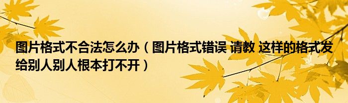 图片格式不合法怎么办（图片格式错误 请教 这样的格式发给别人别人根本打不开）