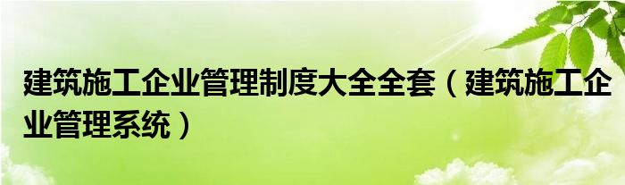 建筑施工企业管理制度大全全套（建筑施工企业管理系统）