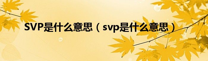 SVP是什么意思（svp是什么意思）