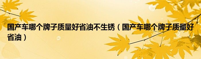 国产车哪个牌子质量好省油不生锈（国产车哪个牌子质量好省油）