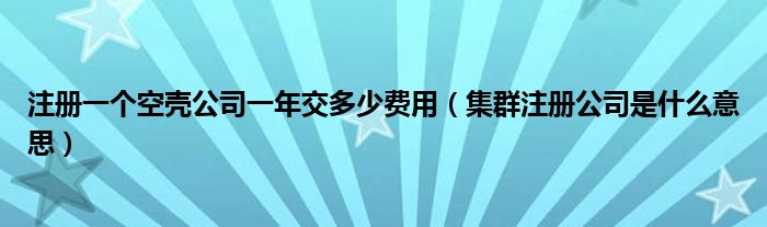 注册一个空壳公司一年交多少费用（集群注册公司是什么意思）