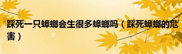 踩死一只蟑螂会生很多蟑螂吗（踩死蟑螂的危害）