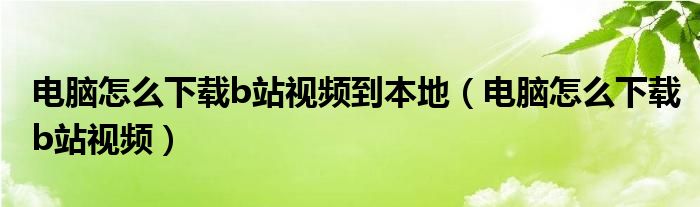 电脑怎么下载b站视频到本地（电脑怎么下载b站视频）