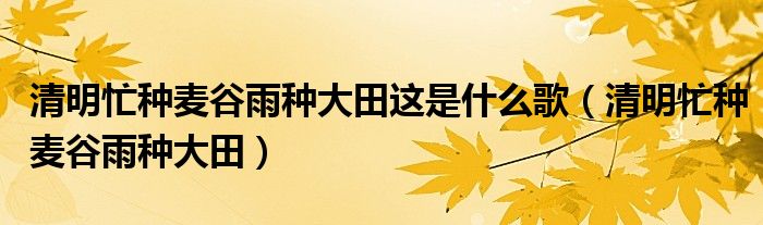 清明忙种麦谷雨种大田这是什么歌（清明忙种麦谷雨种大田）