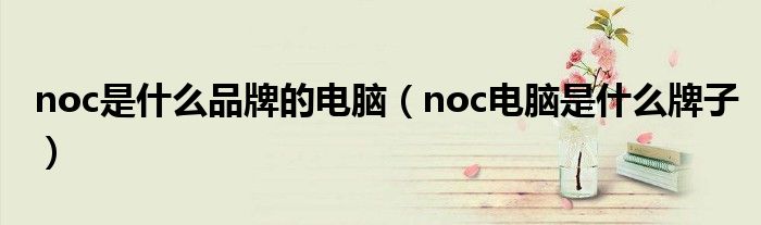 noc是什么品牌的电脑（noc电脑是什么牌子）