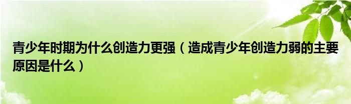 青少年时期为什么创造力更强（造成青少年创造力弱的主要原因是什么）