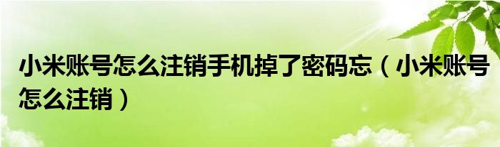 小米账号怎么注销手机掉了密码忘（小米账号怎么注销）