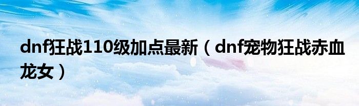 dnf狂战110级加点最新（dnf宠物狂战赤血龙女）