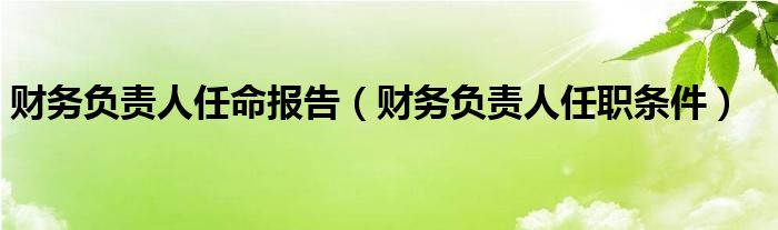 财务负责人任命报告（财务负责人任职条件）