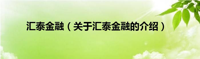 汇泰金融（关于汇泰金融的介绍）