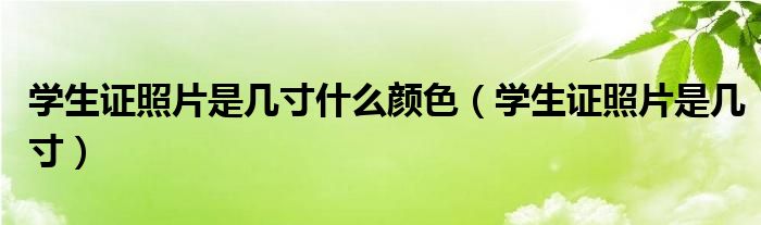 学生证照片是几寸什么颜色（学生证照片是几寸）