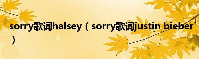 sorry歌词halsey（sorry歌词justin bieber）