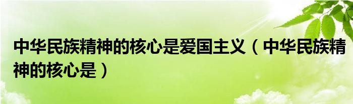 中华民族精神的核心是爱国主义（中华民族精神的核心是）