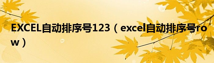 EXCEL自动排序号123（excel自动排序号row）