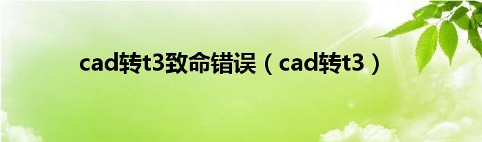 cad转t3致命错误（cad转t3）