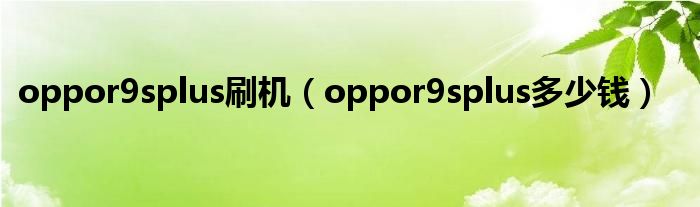 oppor9splus刷机（oppor9splus多少钱）