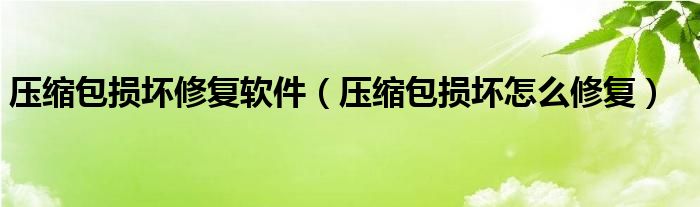 压缩包损坏修复软件（压缩包损坏怎么修复）