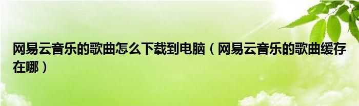 网易云音乐的歌曲怎么下载到电脑（网易云音乐的歌曲缓存在哪）