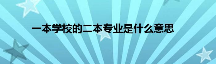 一本学校的二本专业是什么意思