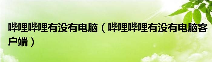 哔哩哔哩有没有电脑（哔哩哔哩有没有电脑客户端）