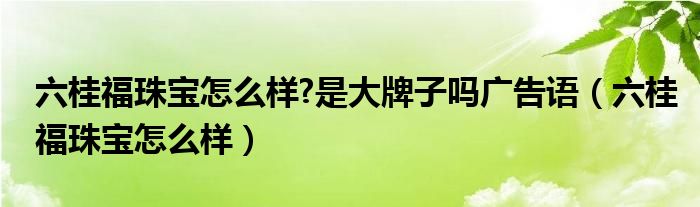 六桂福珠宝怎么样?是大牌子吗广告语（六桂福珠宝怎么样）