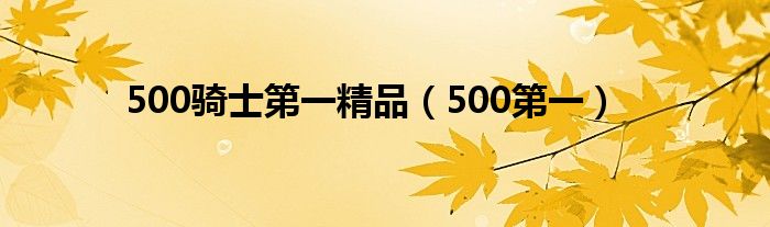 500骑士第一精品（500第一）