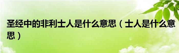 圣经中的非利士人是什么意思（士人是什么意思）