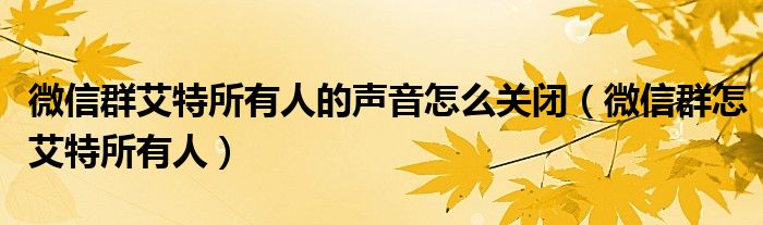 微信群艾特所有人的声音怎么关闭（微信群怎艾特所有人）