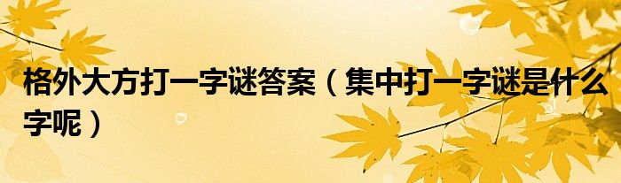 格外大方打一字谜答案（集中打一字谜是什么字呢）