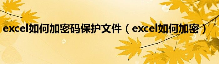 excel如何加密码保护文件（excel如何加密）