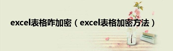 excel表格咋加密（excel表格加密方法）