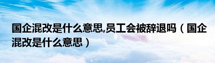 国企混改是什么意思,员工会被辞退吗（国企混改是什么意思）