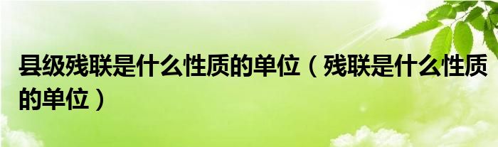 县级残联是什么性质的单位（残联是什么性质的单位）