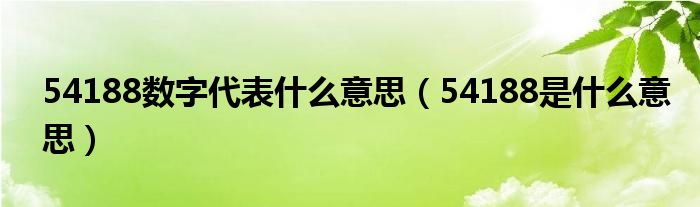 54188数字代表什么意思（54188是什么意思）