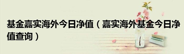 基金嘉实海外今日净值（嘉实海外基金今日净值查询）