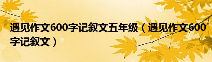 遇见作文600字记叙文五年级（遇见作文600字记叙文）