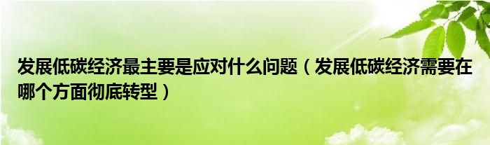 发展低碳经济最主要是应对什么问题（发展低碳经济需要在哪个方面彻底转型）