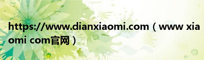 https://www.dianxiaomi.com（www xiaomi com官网）