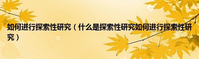 如何进行探索性研究（什么是探索性研究如何进行探索性研究）