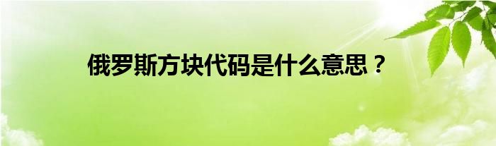 俄罗斯方块代码是什么意思？